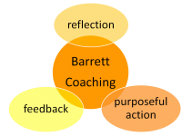 barrett coaching process