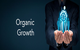 Is an Organic Growth Strategy a better way to go?
