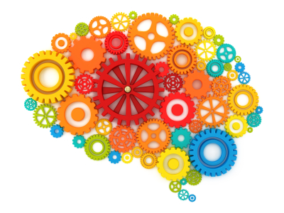 brain science