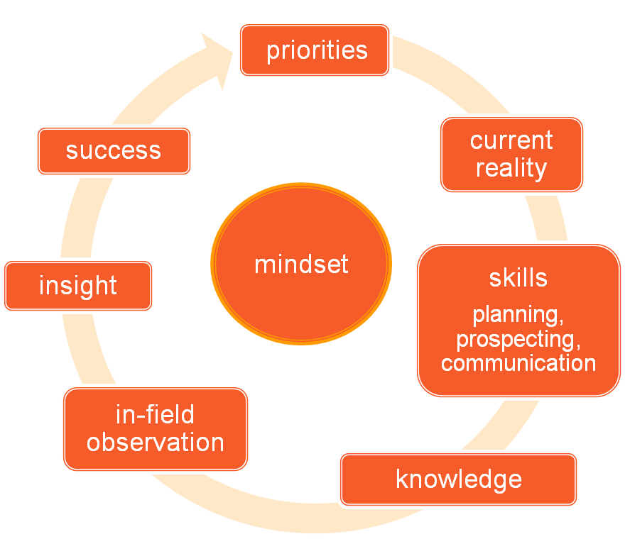 sales-coaching-process-model