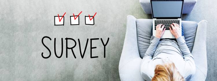 are customer surveys useless